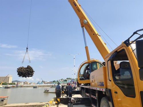 村级集体经济公司化改革 开拓台山镇村高质量发展新局面